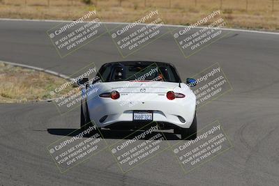 media/Nov-03-2023-Club Racer Events (Fri) [[fd9eff64e3]]/Yellow/Back Shots/